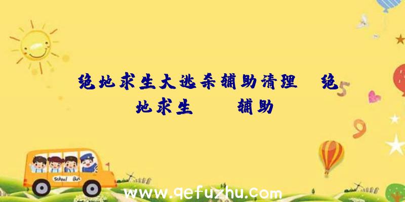 「绝地求生大逃杀辅助清理」|绝地求生rush辅助